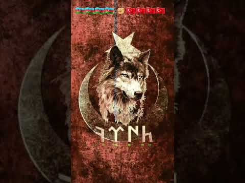 Aslıxan X Noton-Qarabağdayıq azeri rep