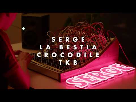 Teo Hoffmann - Serge La Bestia | Crocodile | TKB
