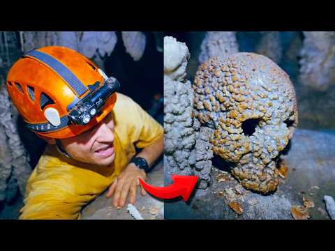 I Found the Mysterious CRYSTAL SKULL / 24H in the Belize Jungle