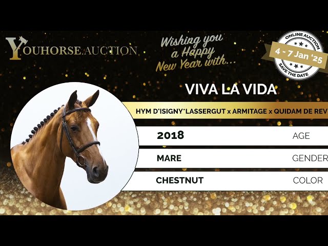 Viva la vida Showvideo