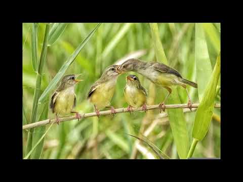 Baby You Are Really Hurting Me - OTE #lucid #dreaming #music #relaxation #dream #healing #soothing