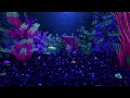Видео о товаре Yellow Anemone, Актиния Желтая, декорация с GLO-эффектом / GloFish (США)