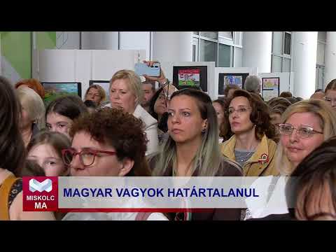 Videó előnézet