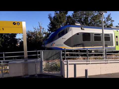 Treno Campobasso-Termoli, dai ritardi ‘mostruosi’ alla normalità ritrovata