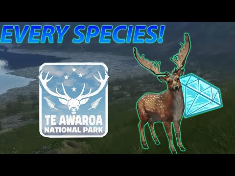Hunting EVERY Species on Te Awaroa
