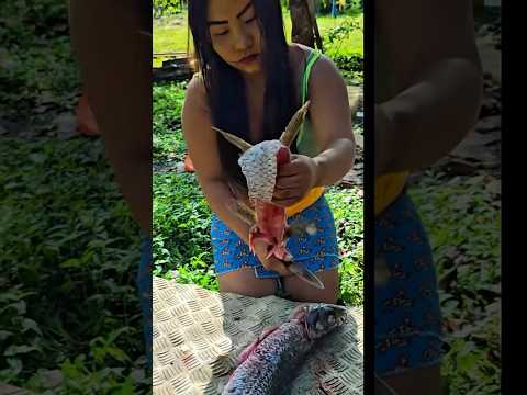 Trairão gigante do rio Amazônia