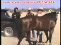 Los Huracanes Del Norte - El Profeta (Video Oficial)