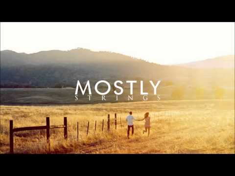 Tin Sparrow - For You