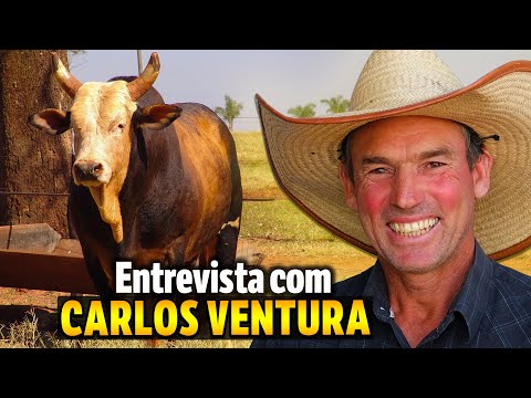 O HOMEM QUE PAROU NO TOURO BANDIDO