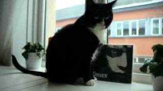 SAMHAIN, The Hungry End - Live 1985