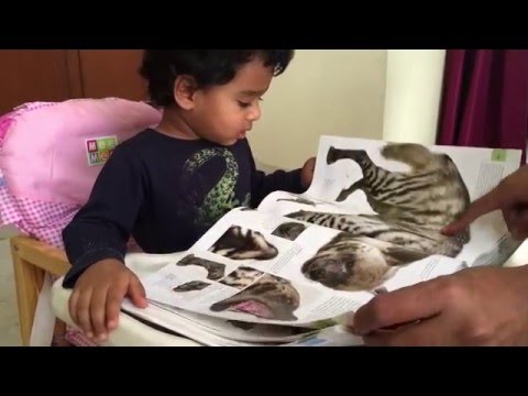 Two year old naming around a 100 animals