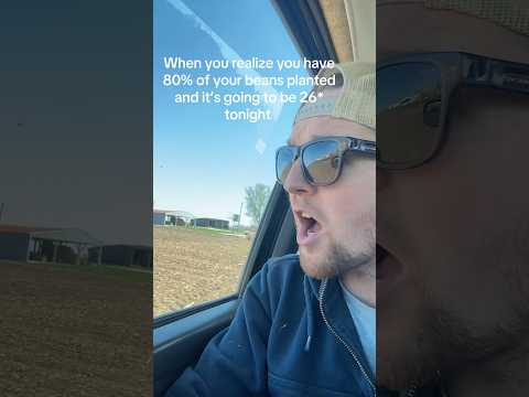 March Planted Bean probs #ag #farming #dhpf