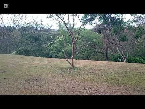 Imagen de Venta de Lotes y Terrenos en Guácima - Alajuela Guácima - ALAJUELA
