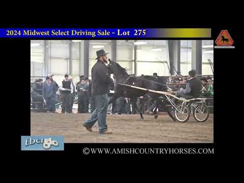 2024 Midwest Select Driving Sale