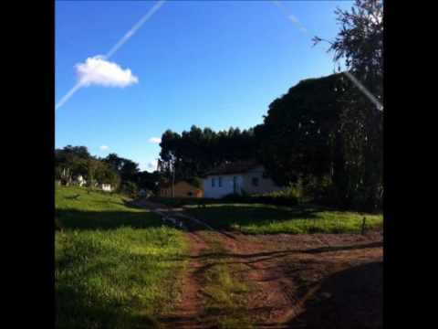 Tempo video