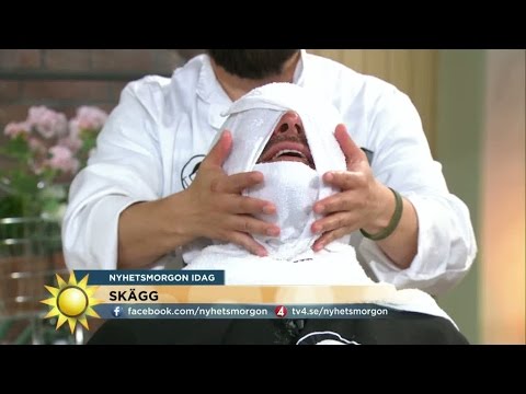 Steffo bakas in - Nyhetsmorgon (TV4)