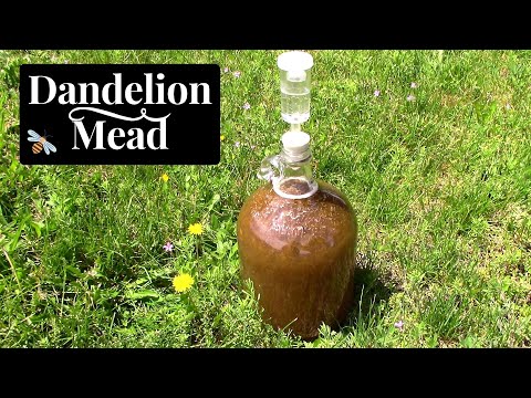 How to Make Dandelion Mead