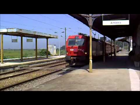 Comboio Especial - Amieira