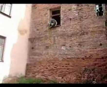 Dvinsk Clan - Le Parkour