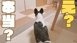 妻が帰ってきた ！😳