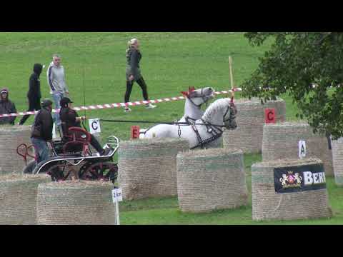 Maraton 2. část – mistrovství ČR spřežení v Humpolci, 18. 9. 2021