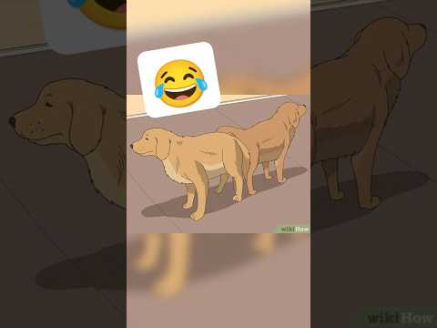 What a sound😅😅.#shorts #dog