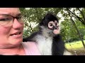 See How We Spend Our Evenings With The Monkeys ️