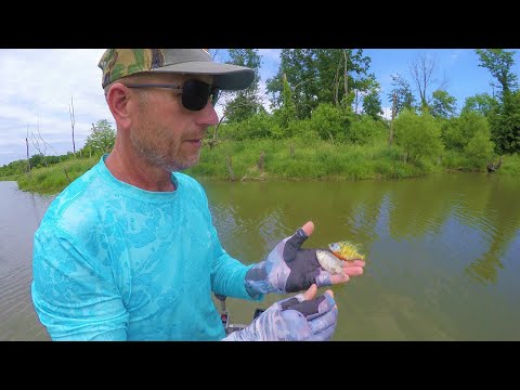 How and Why to Match the Hatch Bass Fishing Video for Beginners Hacks Tips Tricks