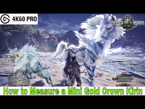 Monster Hunter: World - How to Measure a Mini Gold Crown Kirin Video