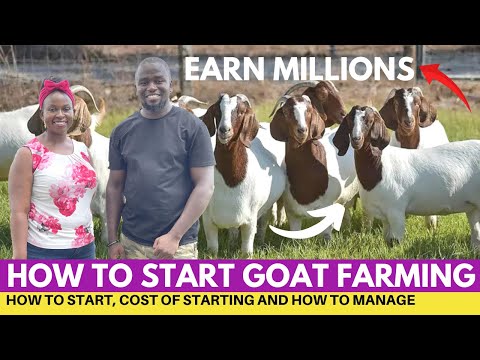 , title : 'How To START GOAT FARMING Business And EARN Millions'