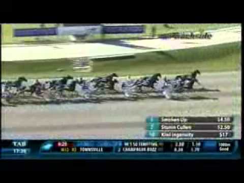 2010 New Zealand Trotting Cup - theharnessedge.com