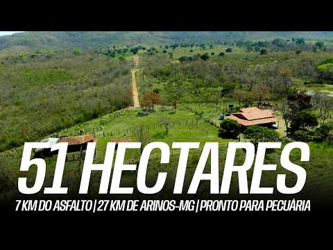 51 HECTARES | 7 KM DO ASFALTO | 27 KM DE ARINOS-MG | PRONTO PARA PECUÁRIA
