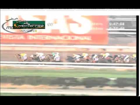 2013 - CAMILIN CAMILON -  DERBY