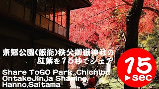 東郷公園（飯能）秩父御嶽神社の紅葉を15秒でシェア。Share Togo park ,Chichibu Ontake Sharine in 15seconds,Hanno,Saitama