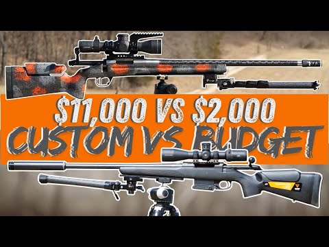 CUSTOM vs BUDGET | Light Hunter Build $11,000 vs $2k in 6.5 Creedmoor