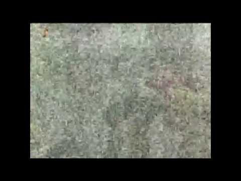 Let's Play Rayman Legends (PS3) - 76 - Living Dead Party Begins