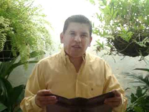 EVANGELIO DIARIO 13 DE AGOSTO 2011 - PARROQUIA LA SAGRADA FAMILIA