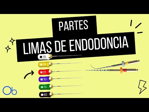 Partes de las LIMAS DE ENDODONCIA