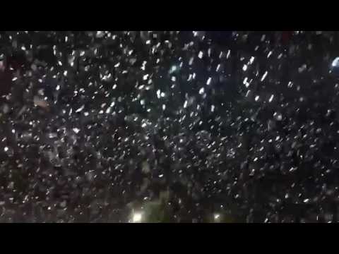 Despedida Yandel Cabuland Monterrey 2017