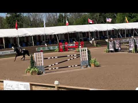 Diarado’s Boy - Angelstone 1.35 Open winner