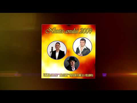 Stelica de la Craiova - Multă lume mă invidiază | Live | Audio