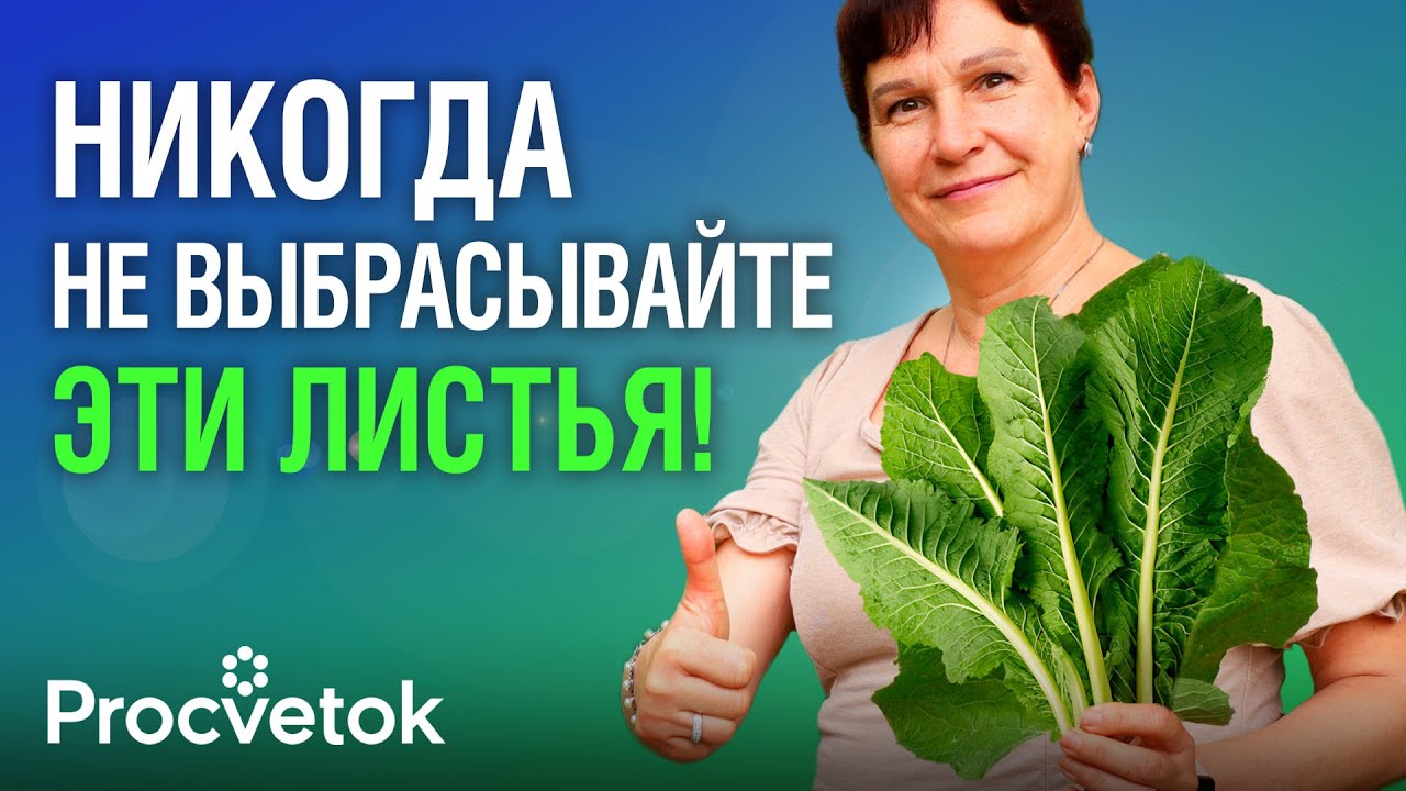 90% ЛЮДЕЙ И НЕ ДОГАДЫВАЮТСЯ О ЦЕЛЕБНОЙ СИЛЕ ХРЕНА! От гайморита и болей в суставах, для мужской силы