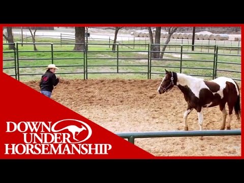 Clinton Anderson Presents: Method for the Madness