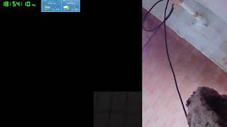 【ツバメさんSwallow】202308電線空配信だったけどカメラおかしくてだめでございます´・ω・｀)Wild birds