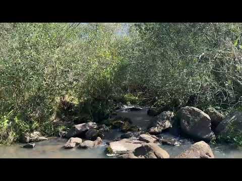 Video de YouTube - Chacras en venta de 3 a 5.6 Ha sobre Ruta 39 Vistas Agua Naturaleza a 50 min de Punta del Este