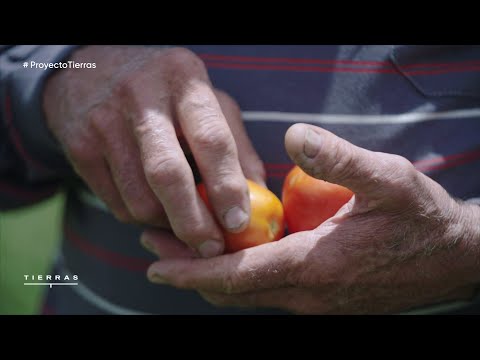 Episodio 06: Santiago del Estero y Chaco | PROYECTO TIERRAS 4ta temporada