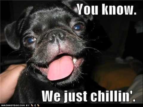 Rodragon - Puliendo la mente