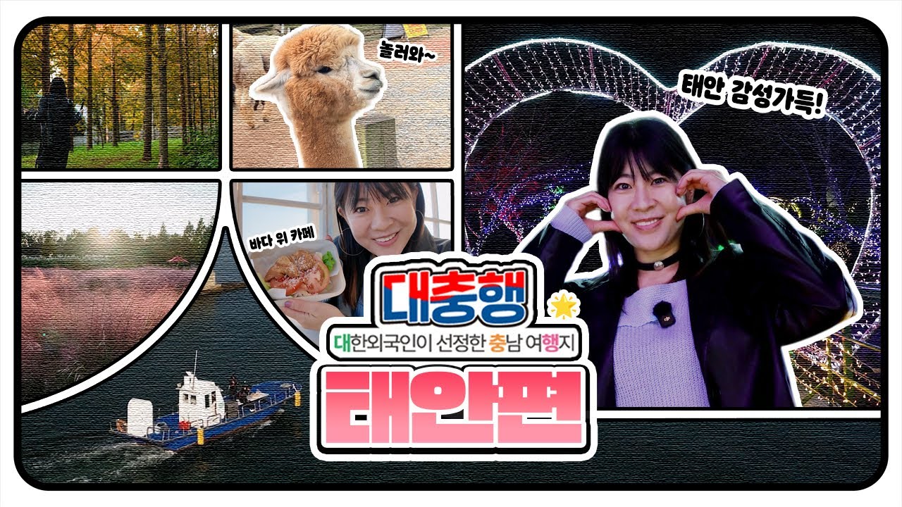 ☕아침엔 바다카페 🌈낮엔 핑크뮬리💗 밤엔 빛축제🌙 하루 종일 예쁜 태안 감성투어💫ㅣ대충행 16화