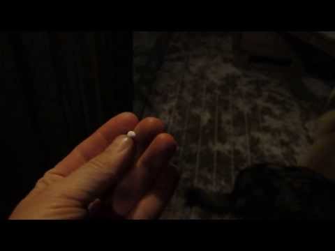 Konsten att ge medicin till en hund...