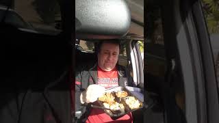Review on Lizards Thicket